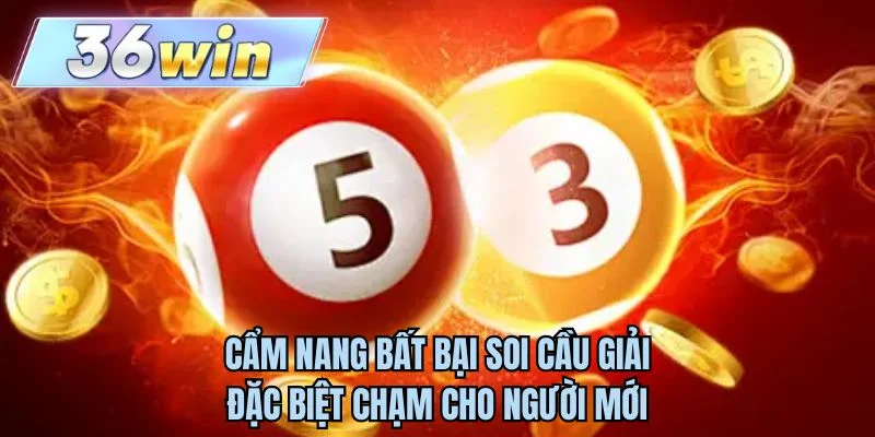 Cẩm nang bất bại soi cầu giải đặc biệt chạm cho người mới